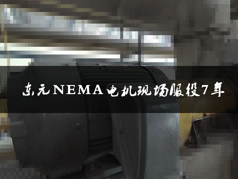 TECO東元NEMA電機(jī)現(xiàn)場(chǎng)檢測(cè)保養(yǎng)1