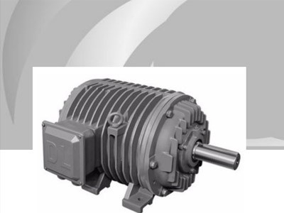 東元輥道環(huán)狀變頻電機(jī)介紹