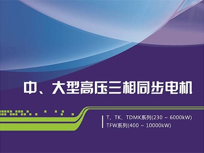 東元中大型同步電機(jī)介紹（T、TK、TDMK、TFW）江西東元生產(chǎn)