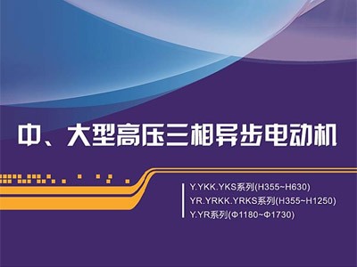 東元中大型高壓電機(jī)Y系列樣本（新Y(Y、YKK、YKS、YR、YRKK、YRKS)及老Y）江西東元生產(chǎn)