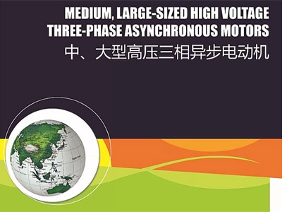 東元中大型高壓電機(jī)T-Y系列樣本（ASXK、AEXK）江西東元生產(chǎn)