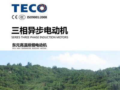 東元高溫排煙電機(jī)型錄AEEVH3